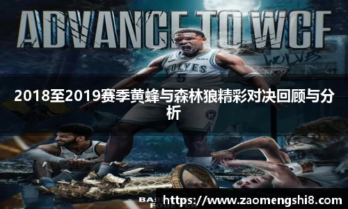 2018至2019赛季黄蜂与森林狼精彩对决回顾与分析